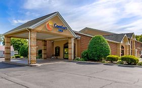 Comfort Inn Atkins